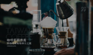 咖啡莊園推薦：冠軍咖啡體驗！品嚐台灣精心栽培的世界級人氣咖啡豆
