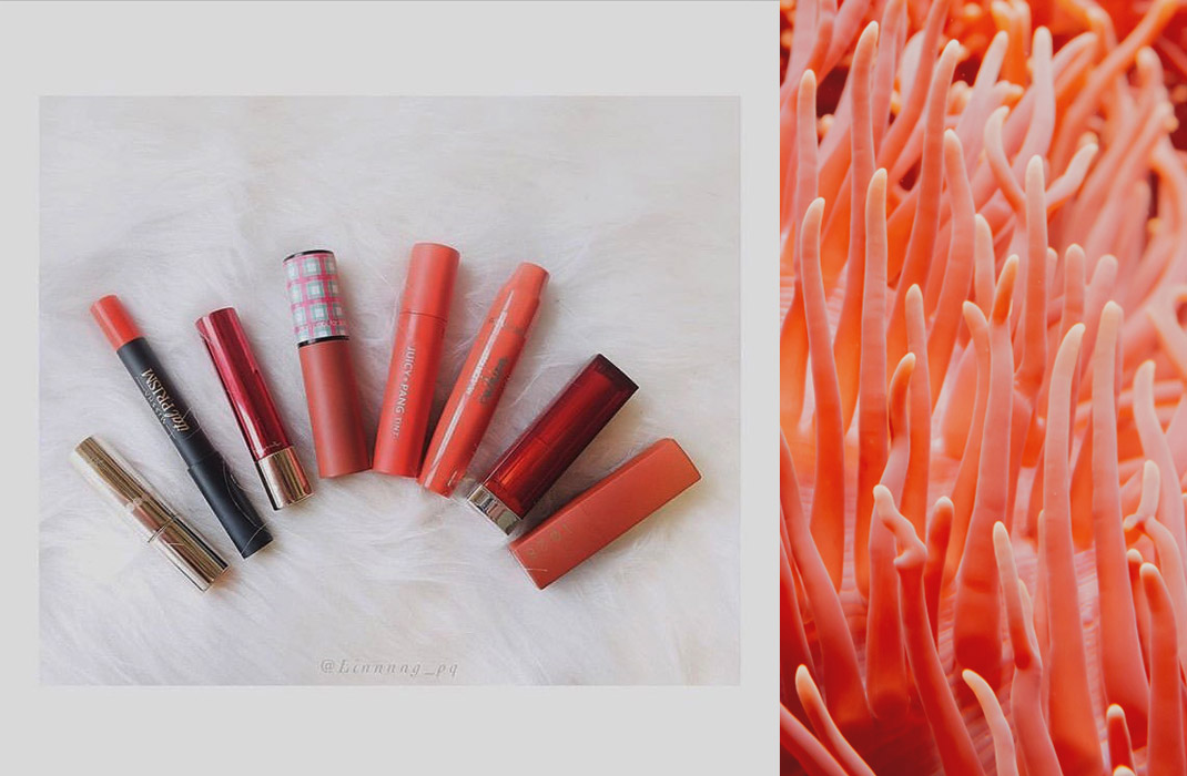 今年春天妳一定要有一支，開架珊瑚橘色唇膏推薦！