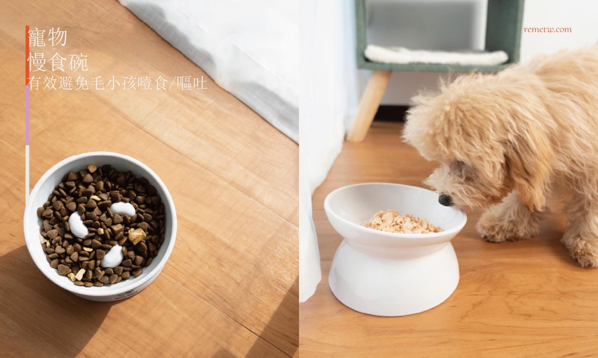 寵物慢食碗推薦：有效避免狗狗及貓咪噎食和嘔吐，毛爸媽快來看！