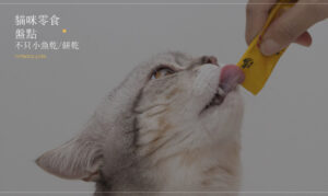 貓咪零食推薦！不只有小魚乾、餅乾，最受貓主子喜愛的還有這些！